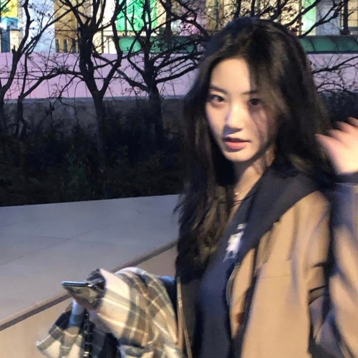 最后的狮子